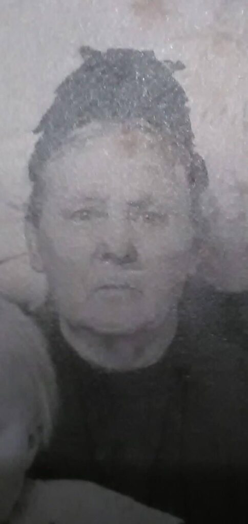 Esiemade Haaled. Tiina Varatalu 1 484x1024