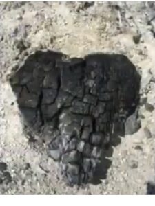 Noiamajakese Pildid 25 225x300