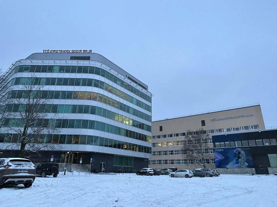 Sedna pilt maja seinal Sedna Pilt Maja Seinal