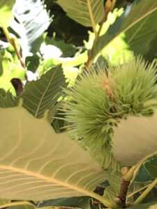 Turgi Galerii Tiina Varatalu 16 225x300