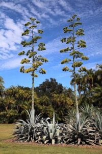 Turgi Galerii Tiina Varatalu 17 200x300