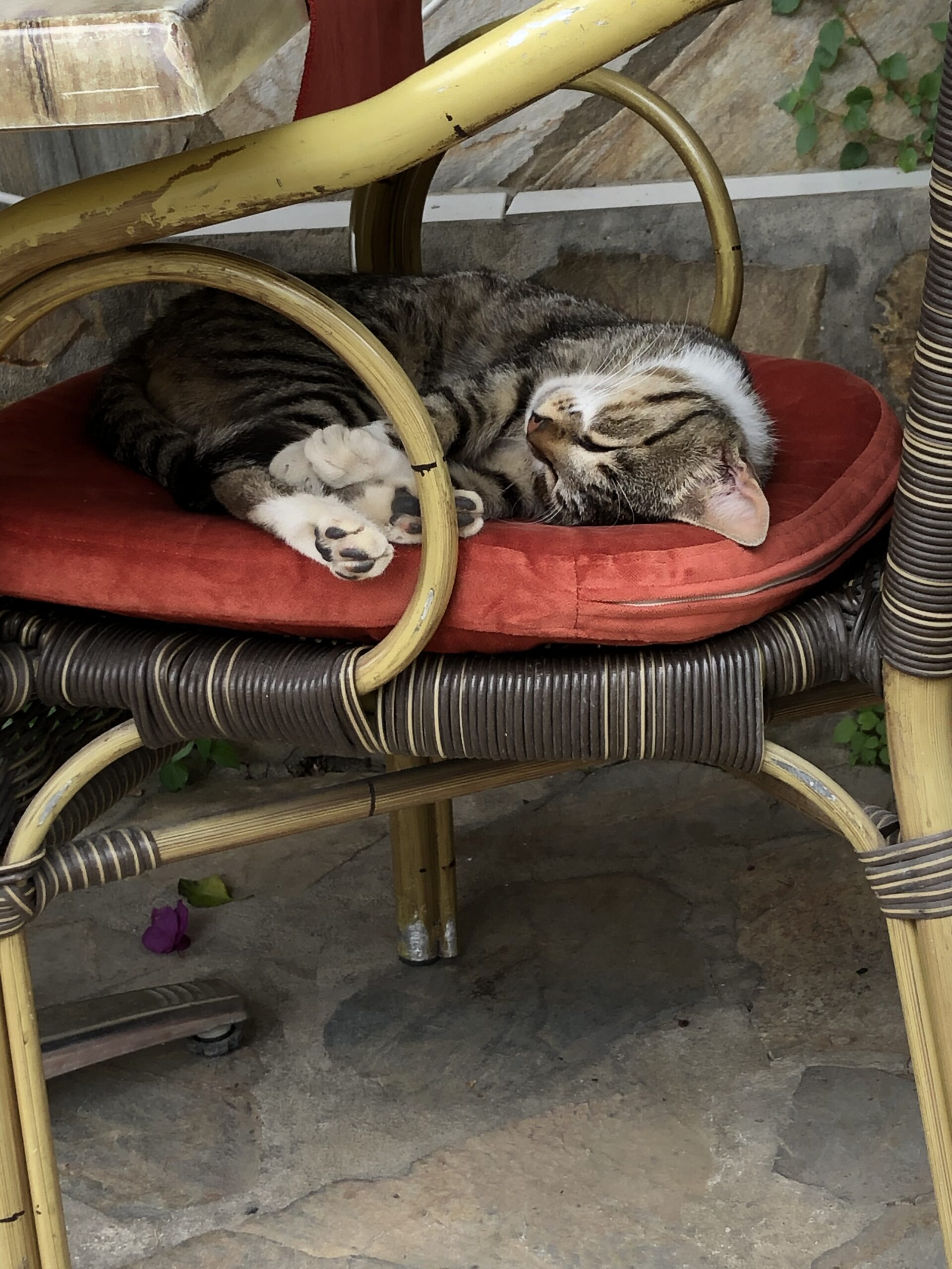 Türgi armastus Turgi Galerii Tiina Varatalu 19 Scaled