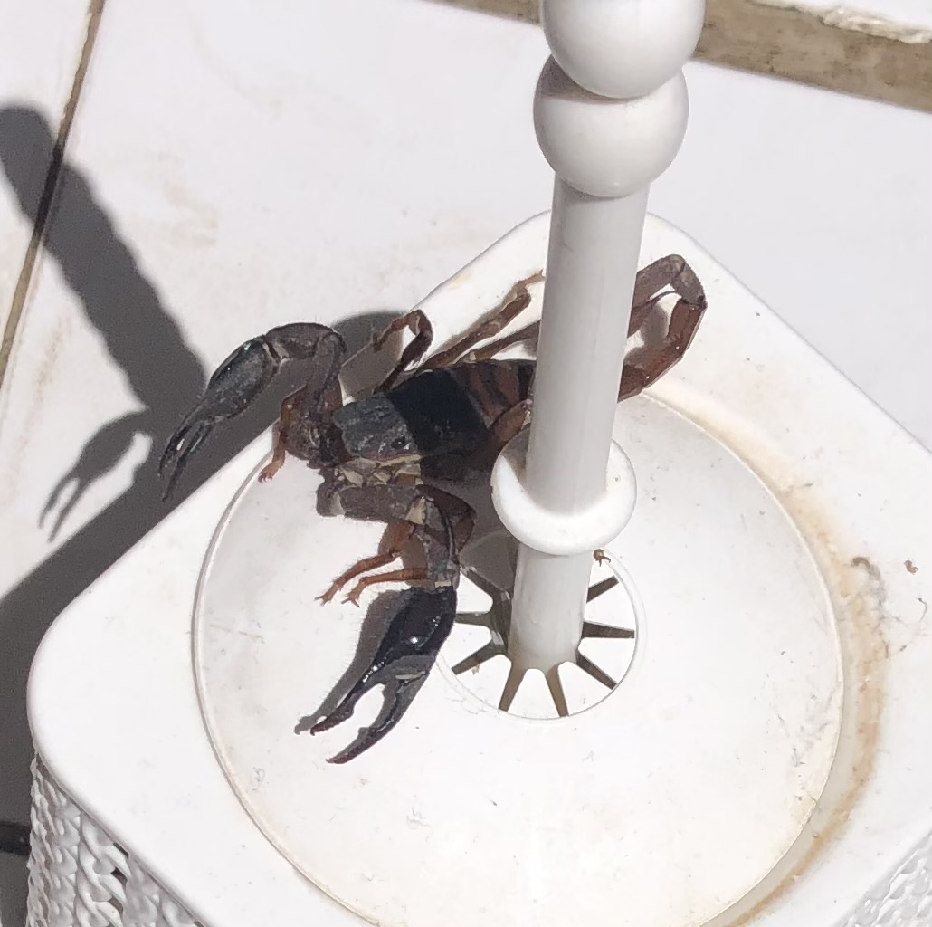 Turgi Galerii Tiina Varatalu 20