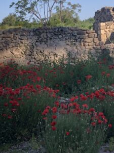 Turgi Galerii Tiina Varatalu 21 225x300