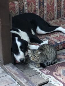 Turgi Galerii Tiina Varatalu 27 225x300