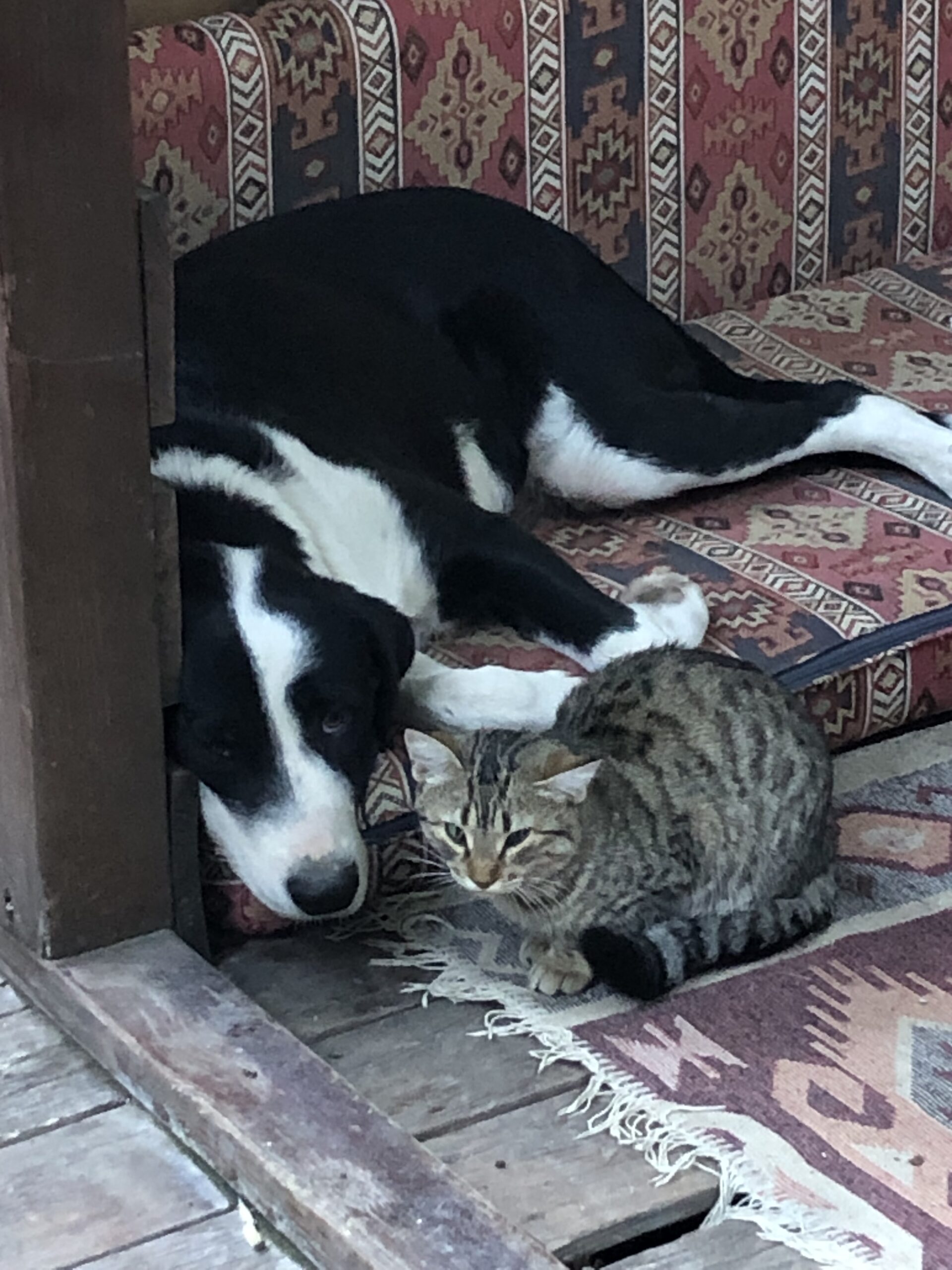 Turgi Galerii Tiina Varatalu 27 Scaled