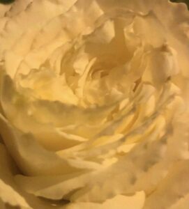 Turgi Galerii Tiina Varatalu 28 271x300