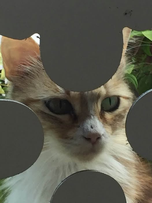 Turgi Galerii Tiina Varatalu 3