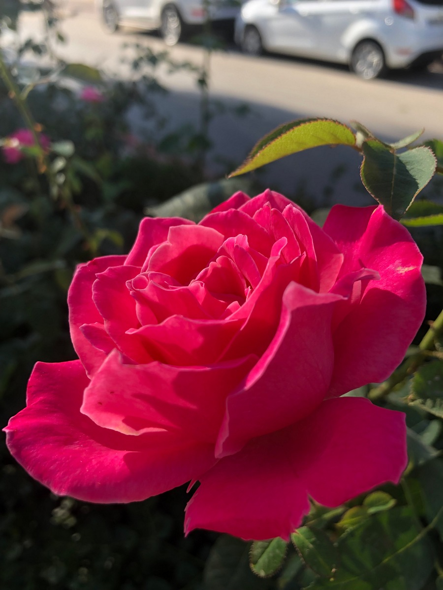 Turgi Galerii Tiina Varatalu 36