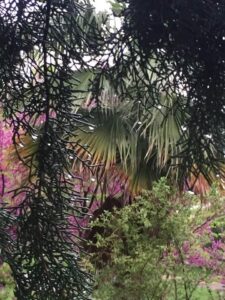 Turgi Galerii Tiina Varatalu 38 225x300