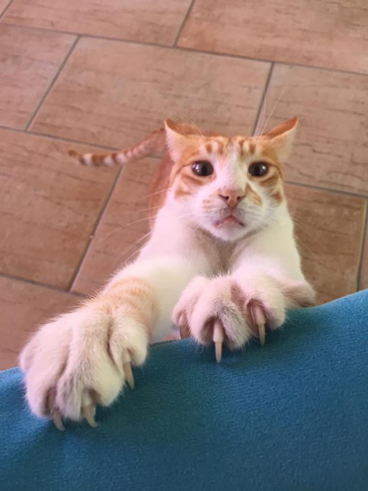 Turgi Galerii Tiina Varatalu 4