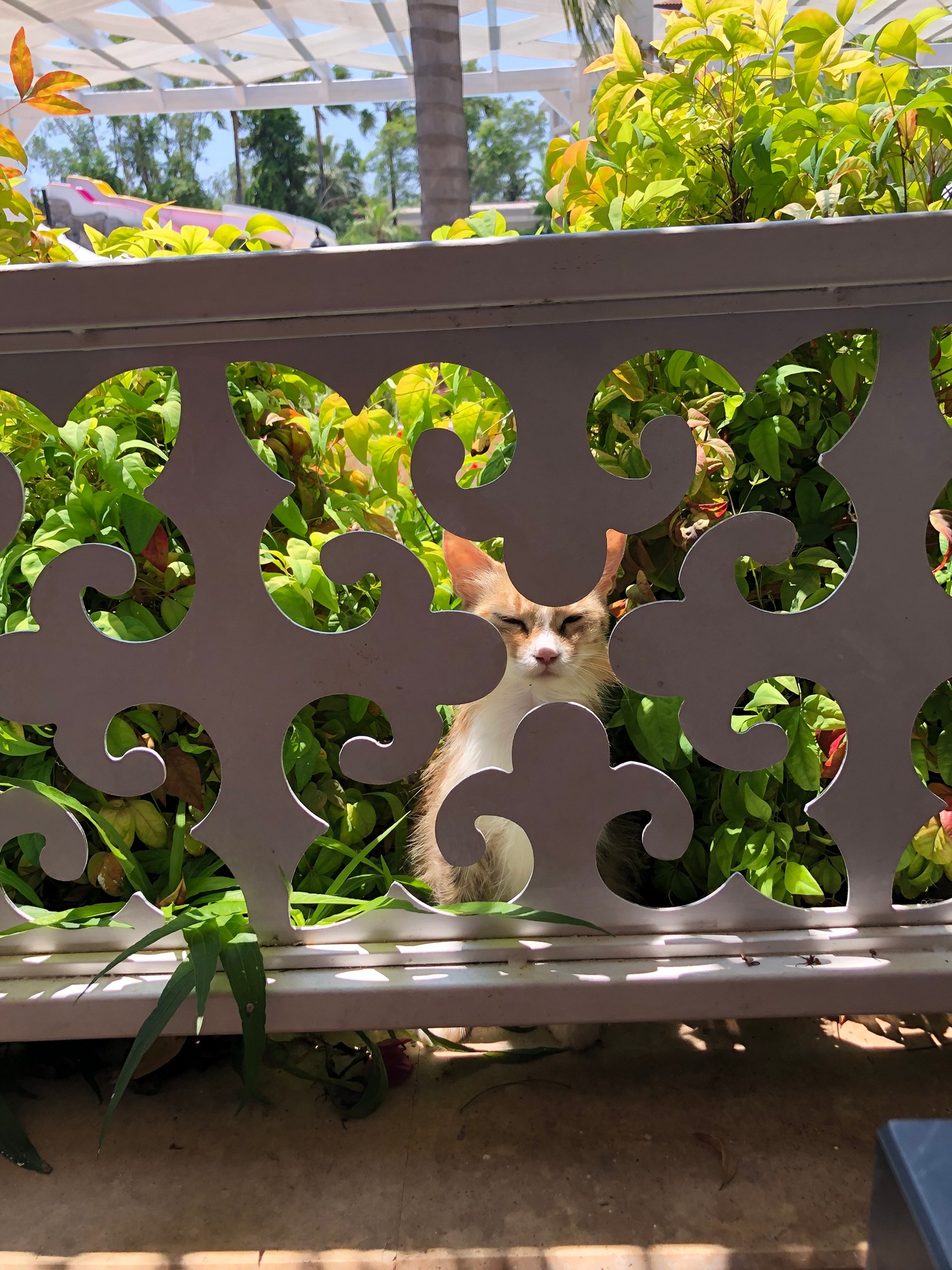 Turgi Galerii Tiina Varatalu 51