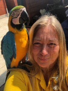 Turgi Galerii Tiina Varatalu 61 224x300