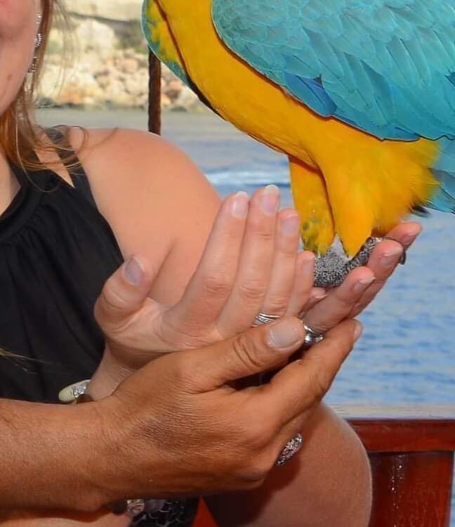 Turgi Galerii Tiina Varatalu 67