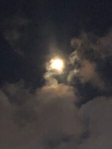 Turgi Galerii Tiina Varatalu 70 225x300