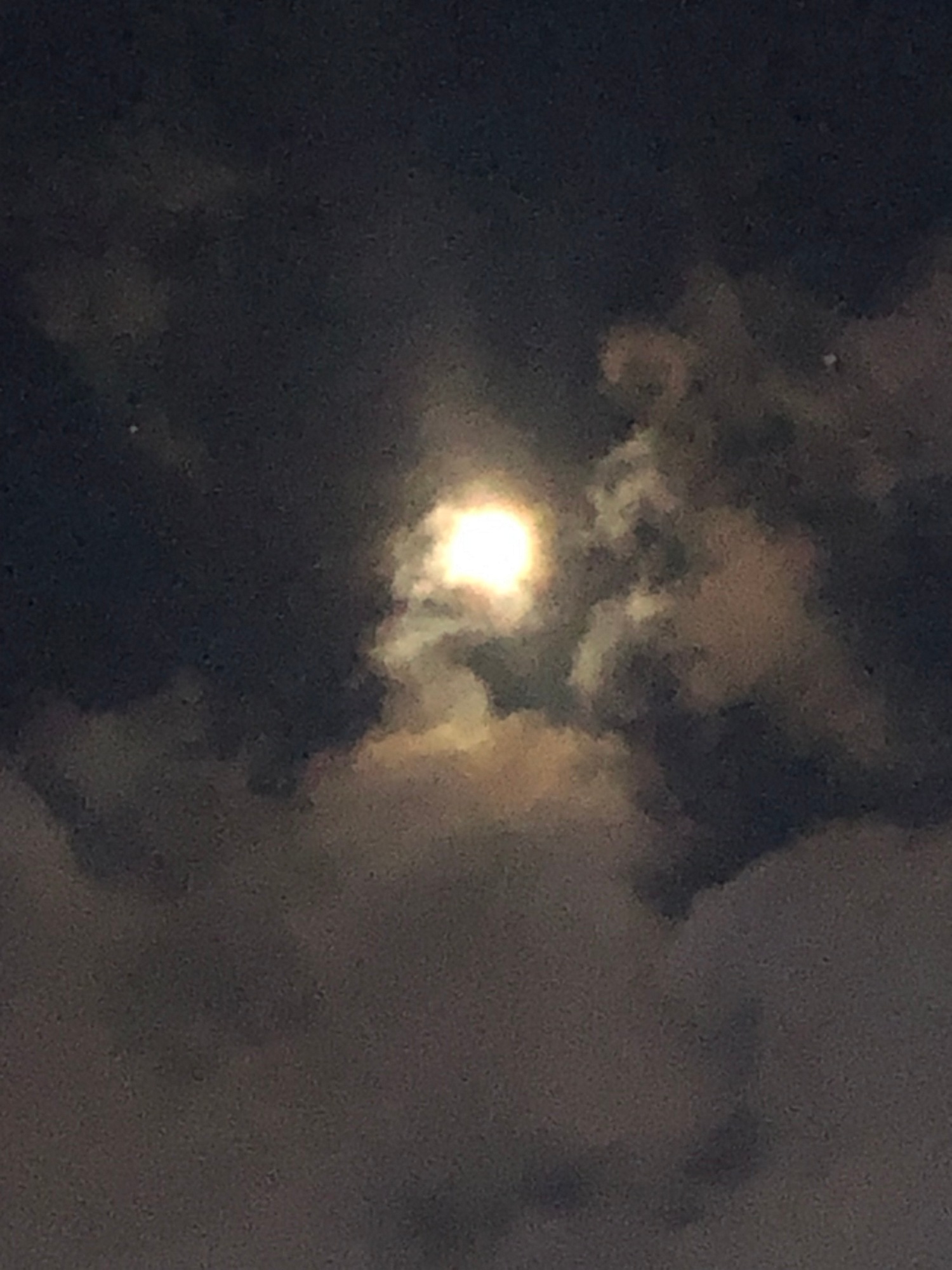 Turgi Galerii Tiina Varatalu 70