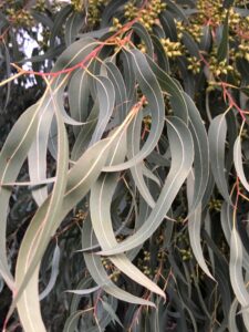 Turgi Galerii Tiina Varatalu 74 225x300