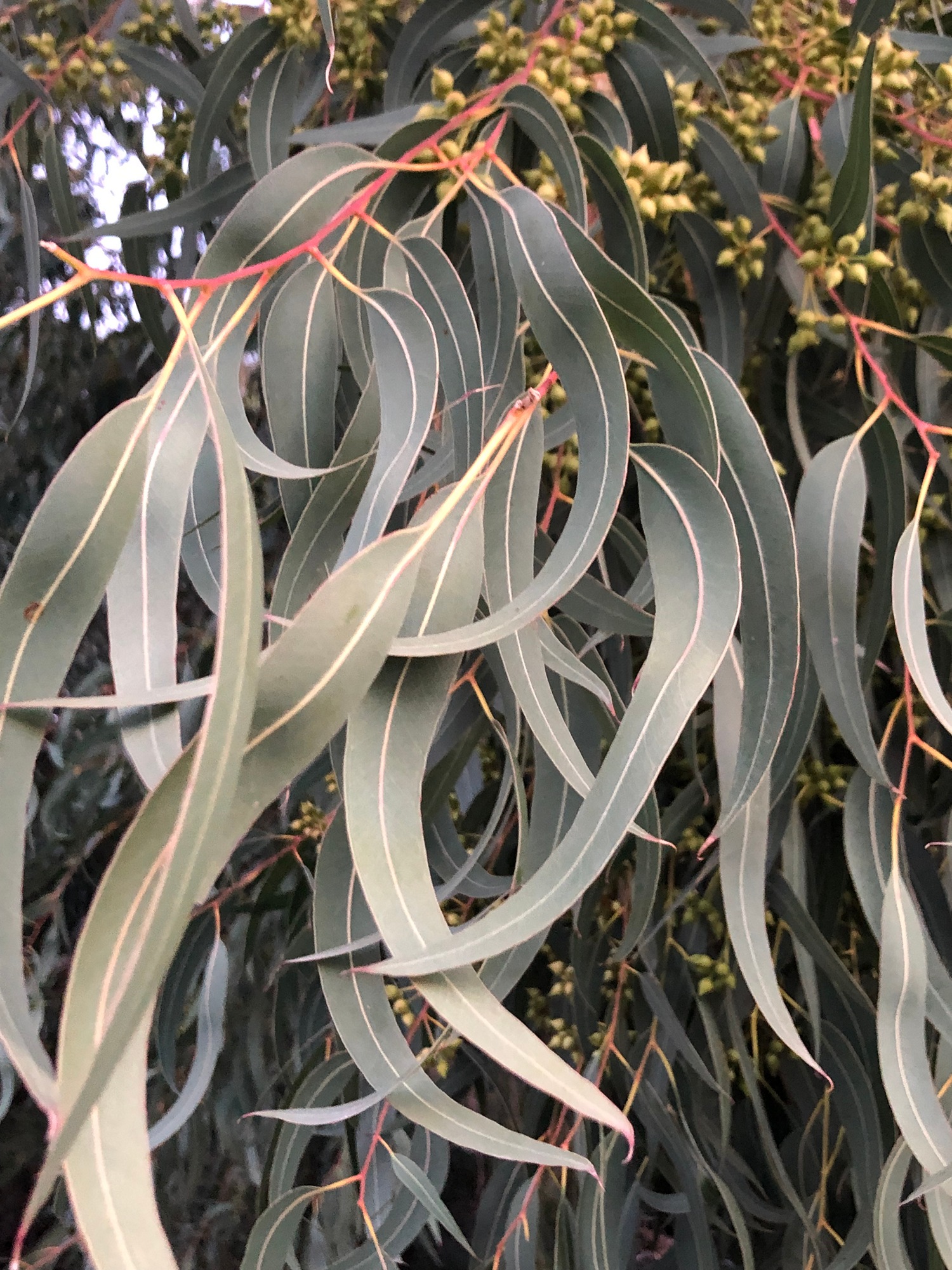 Turgi Galerii Tiina Varatalu 74