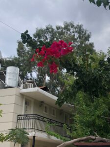 Turgi Galerii Tiina Varatalu 77 225x300