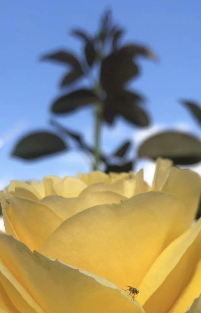 Turgi Galerii Tiina Varatalu 84