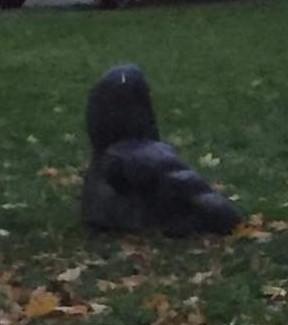 kivist varbad Kivist Varbad