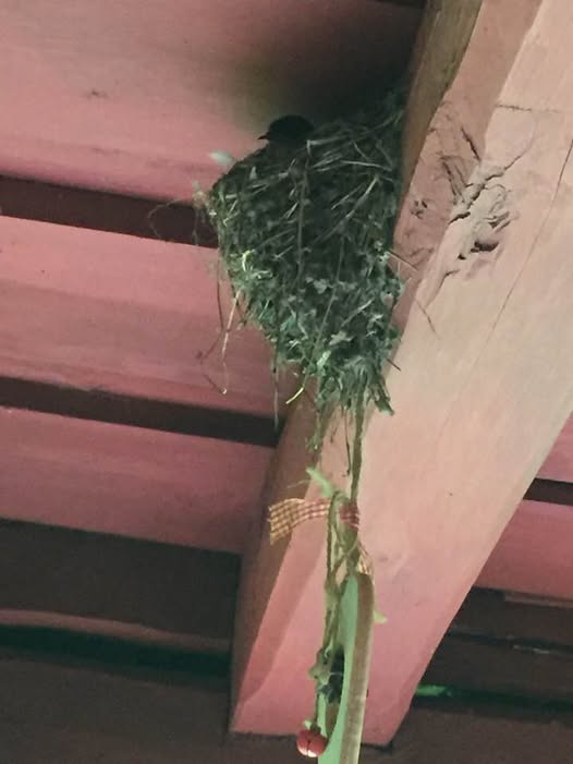 Noiamajakese Galerii 10