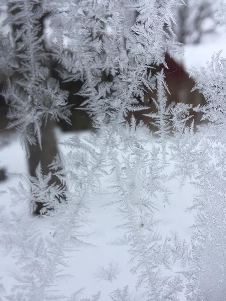 Noiamajakese Galerii 19