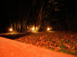 Noiamajakese Galerii 5 300x225