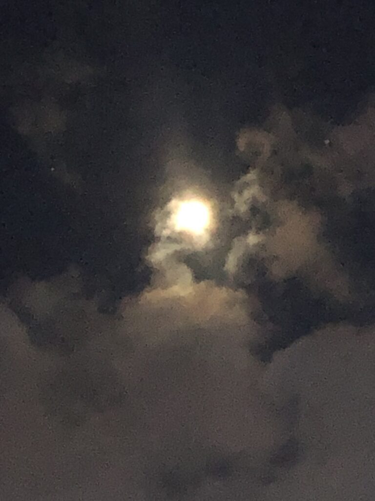 pilvedest perekond Pilvedest Perekond 768x1024