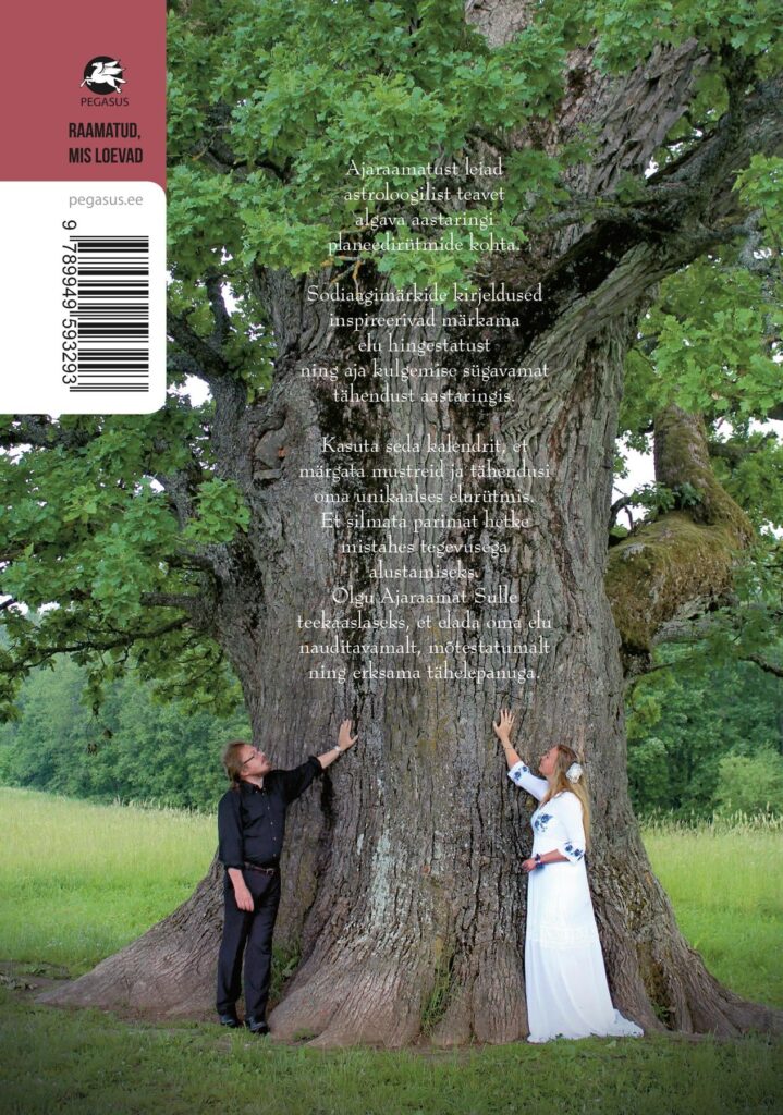 Raamatu Tagakulg 2 719x1024