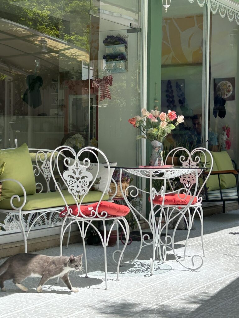 Kassid img 1130